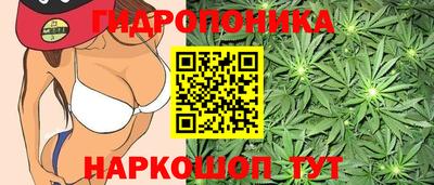 соль ск Тула